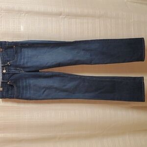 Gap 1969 Jeans Womens Size 4 Size 27 Blue Real Straight Dark